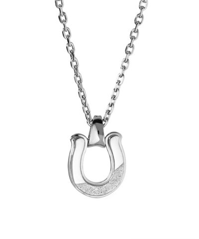 【即発】LIONHEART ネックレス メンズ ホースシュー K10 ダイヤ 限定展開】ハワイアンホースシューネックレス/サージカル